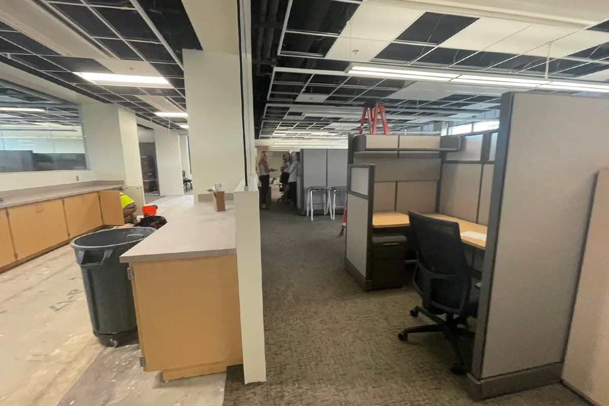 TBG Contracting office renovation ceiling grid buildout